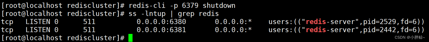 aof redis 主从模式 redis主从模式原则_缓存_50