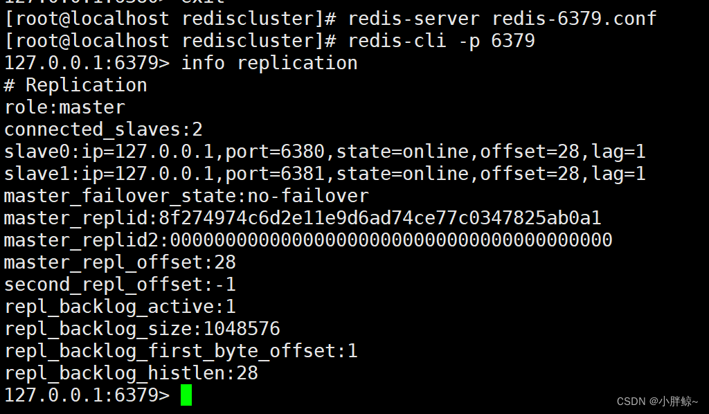 aof redis 主从模式 redis主从模式原则_Redis_44