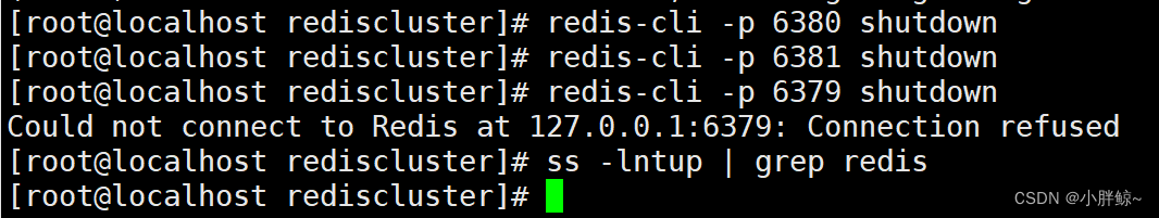 aof redis 主从模式 redis主从模式原则_数据库_59