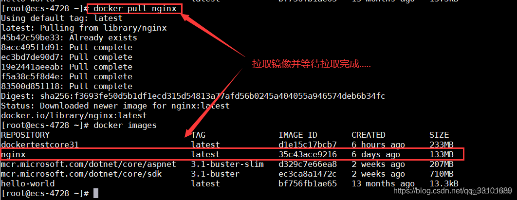 docker nginx 进入镜像 docker nginx daemon off_docker nginx 进入镜像_02