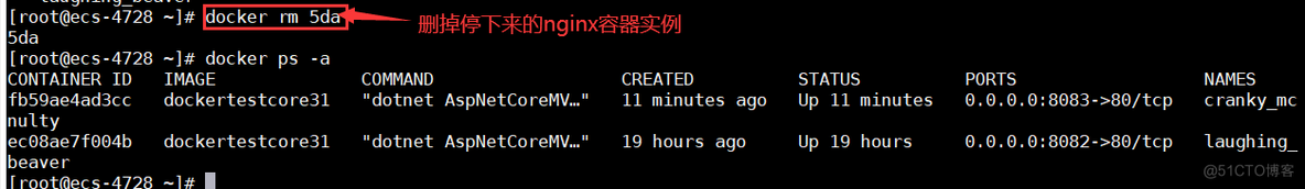 docker nginx 进入镜像 docker nginx daemon off_linux_09