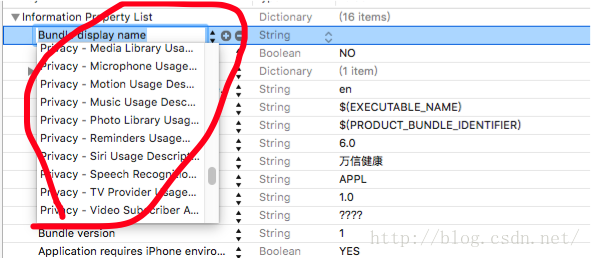 ios存取plist ios存储权限在哪里打开_xcode_04