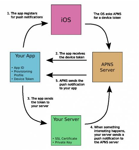 ios应用本地通知 苹果应用与通知在哪_ios应用本地通知_05