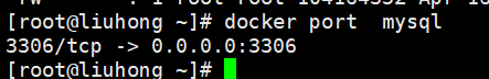 docker ports ps 结果详解 docker ps -n_学习_16