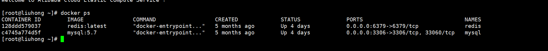 docker ports ps 结果详解 docker ps -n_mysql