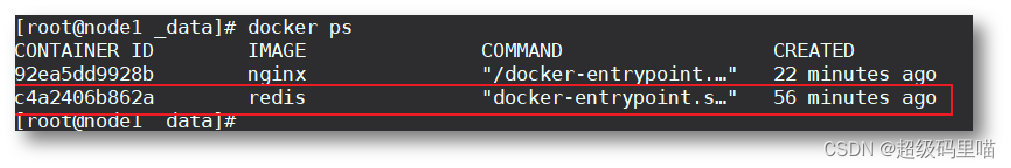 docker pull 权限 docker pull latest_docker_07