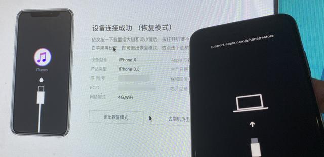 ios版本降级插件 苹果商店应用降级插件_iphone固件降级_03