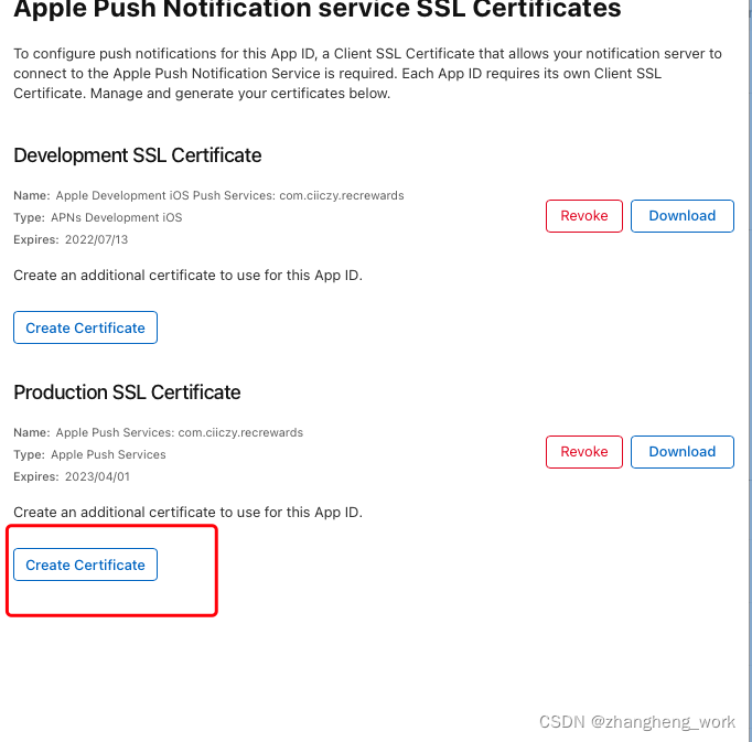 ios配置推送证书 ios 推送证书_xcode_08