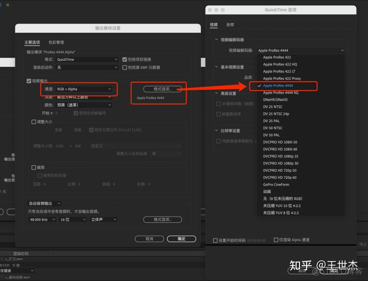 ios音视频编编码 苹果视频编码格式prores_ios音视频编编码_05