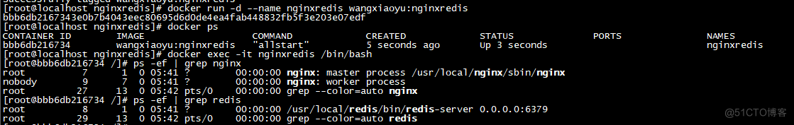 docker 自定义env docker 自定义nginx镜像_redis_08