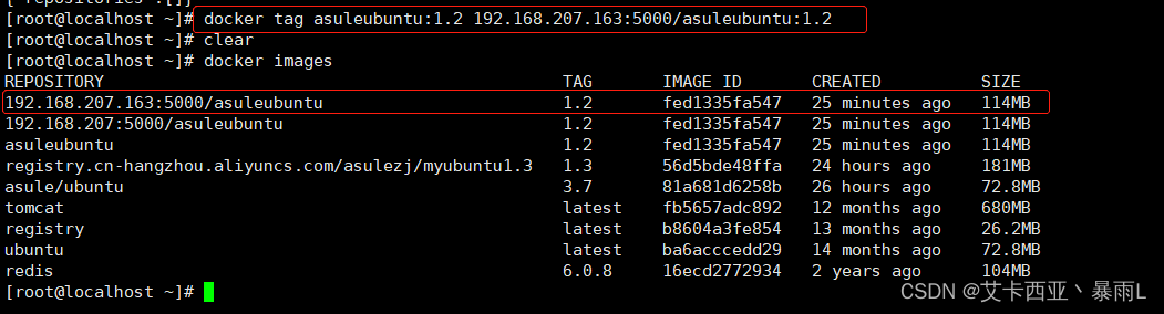 docker私有仓库 nexus 上传镜像 docker推送到私有仓库_linux_06