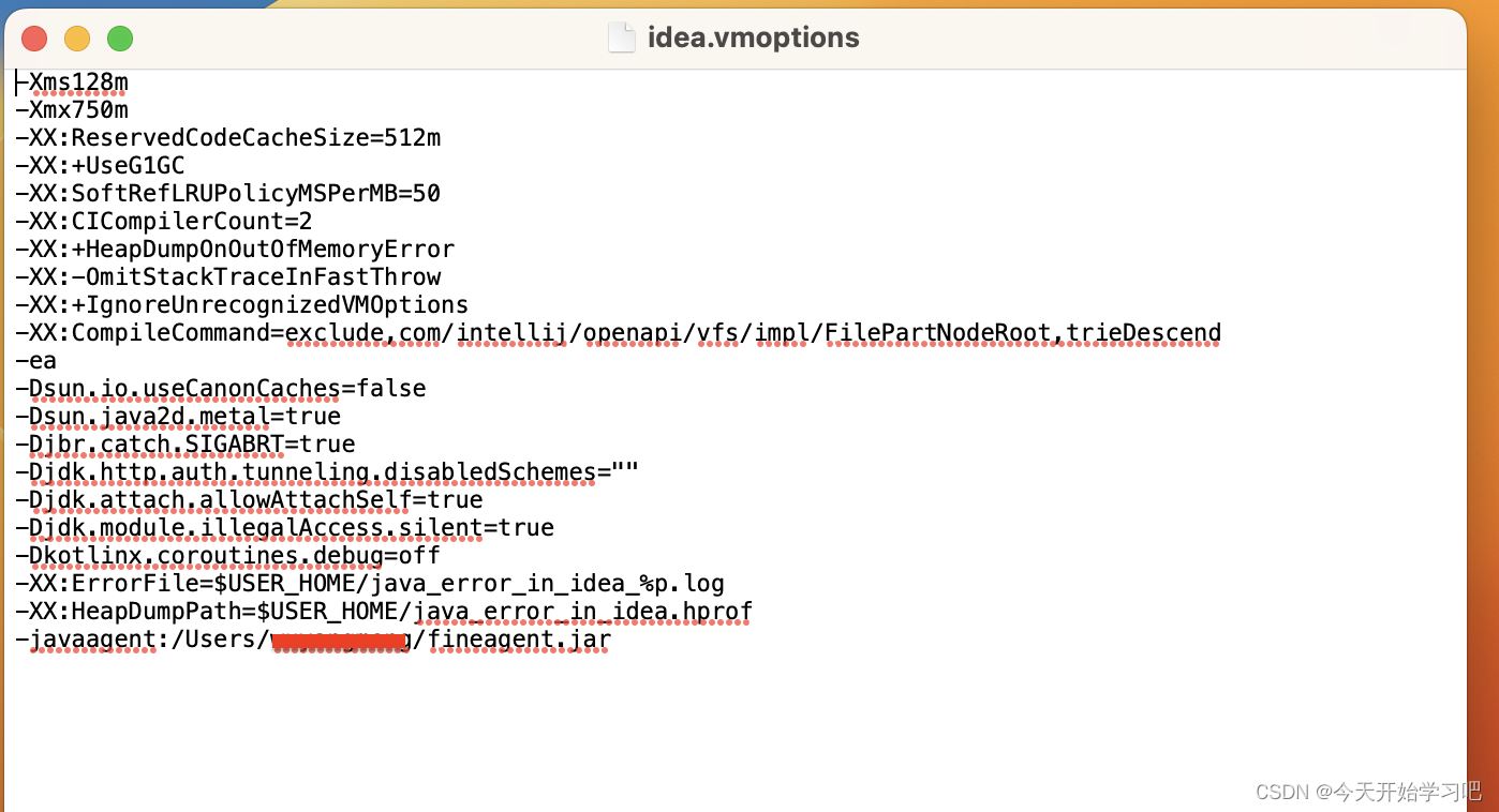 java 后端开源框架 java后端开发环境搭建_macos_11