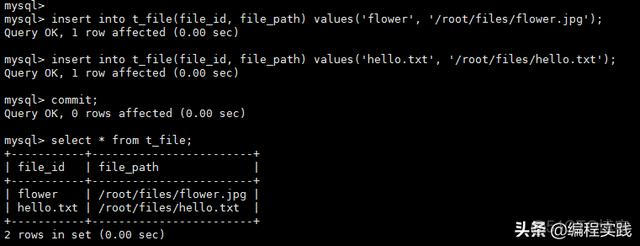 java 文件客户端下载 java文件下载服务器_java 文件客户端下载_14