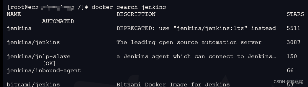 docker镜像 运行jenkins jenkins部署docker镜像_云原生_03