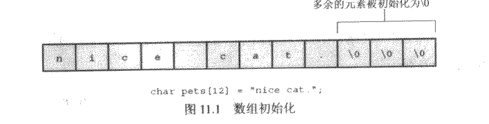 c 数组指针和字符串_赋值_13