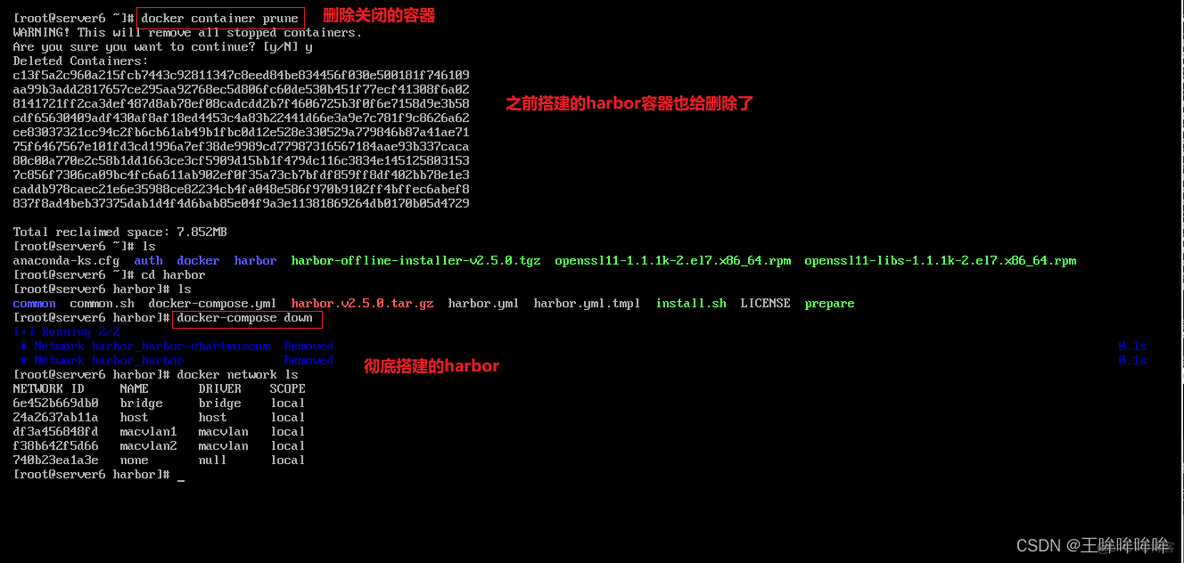 docker 容器数据卷共享 docker swarm 数据卷_容器_07