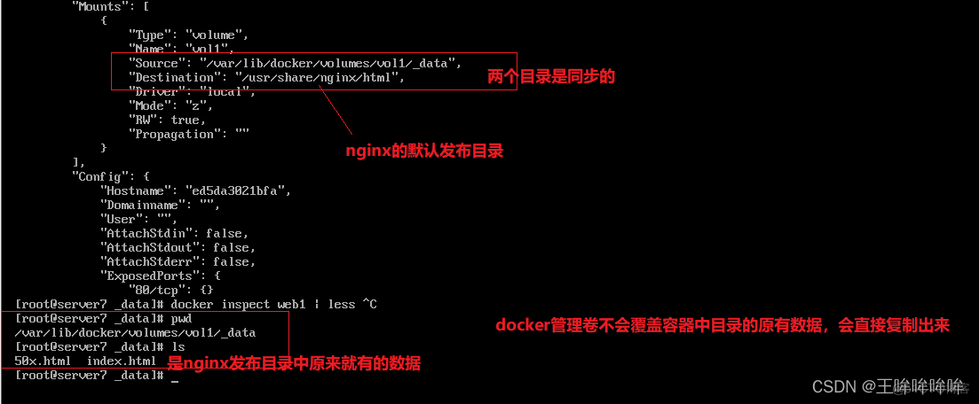 docker 容器数据卷共享 docker swarm 数据卷_运维_10