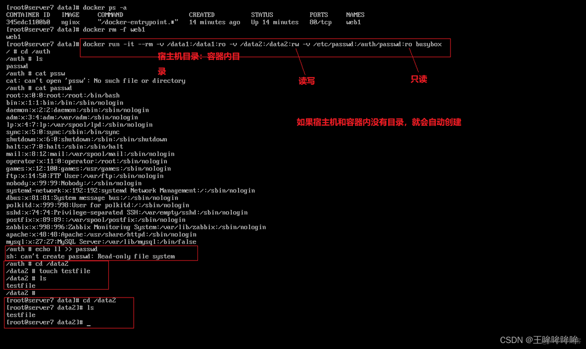 docker 容器数据卷共享 docker swarm 数据卷_数据_03