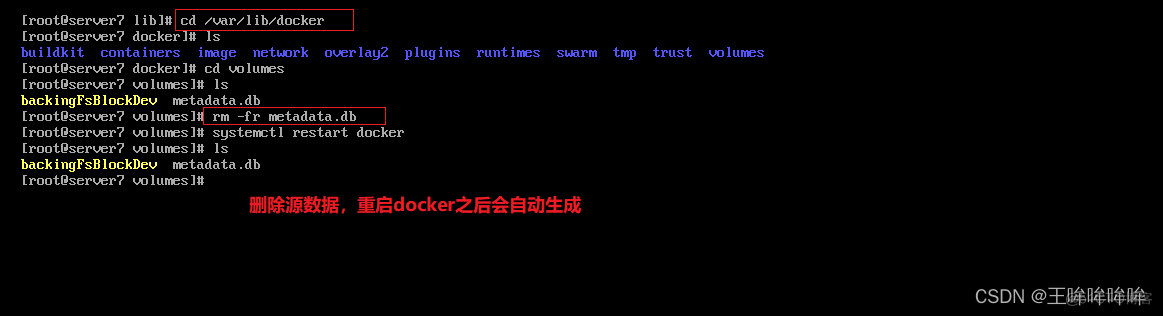 docker 容器数据卷共享 docker swarm 数据卷_docker_33