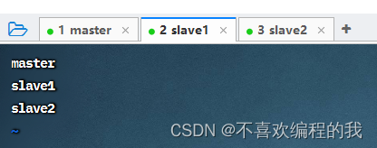 hadoop中配置slaves干什么 hadoop配置slaves文件_hadoop中配置slaves干什么_10