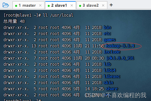 hadoop中配置slaves干什么 hadoop配置slaves文件_xml_12