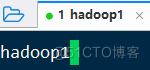 hadoop安装成功测试 安装hadoop的实验报告_IP_07