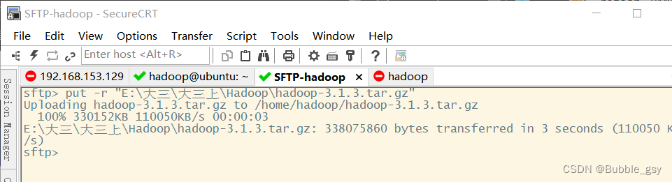 hadoop编译好的安装包 hadoop3.1.3安装_hadoop编译好的安装包_02