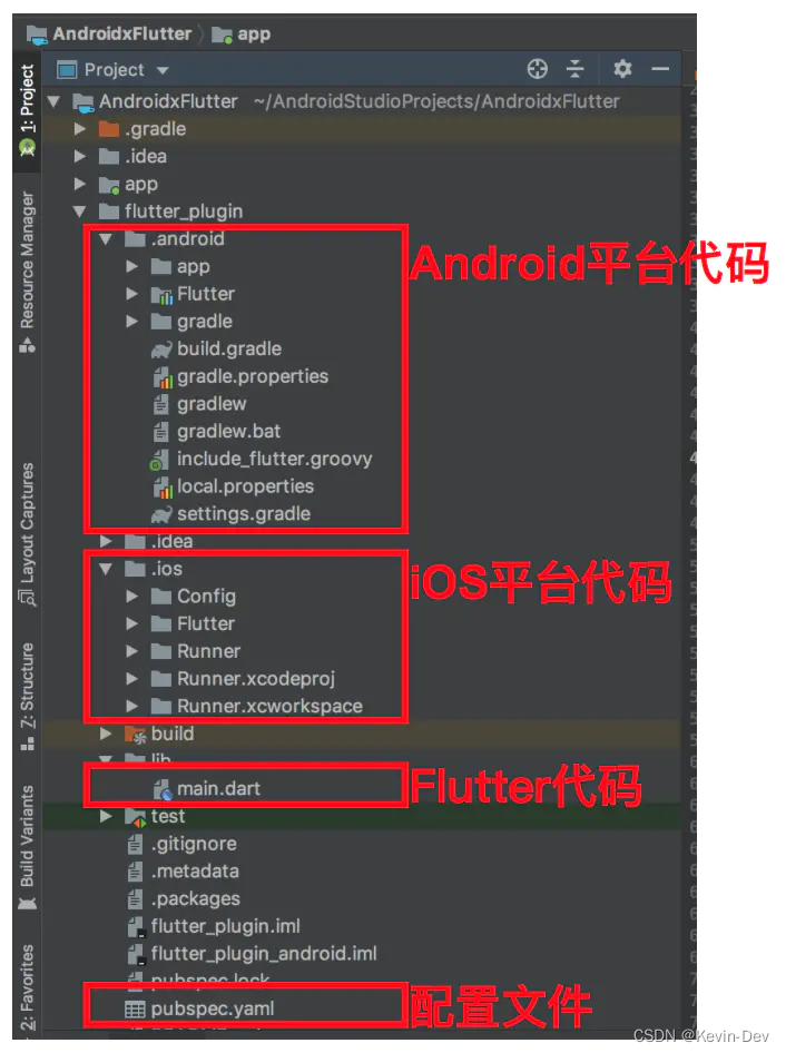 flutter ios 开发入门 ios开发flutter环境_Dart_07