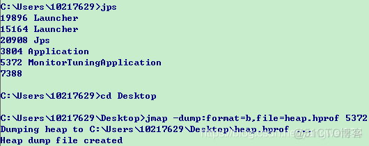 java 获取虚拟机ip java虚拟机命令配置_JVM_07