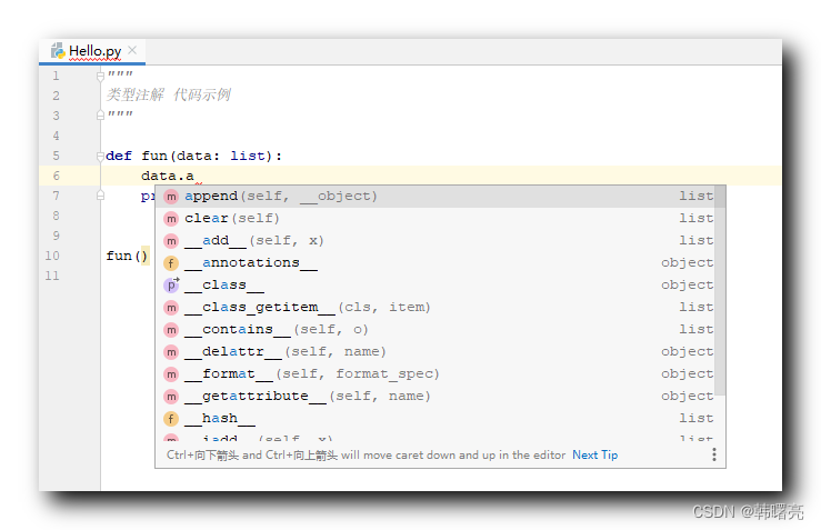 【Python】类型注解 ④ ( 函数类型注解 | 函数形参类型注解语法 | 函数返回值类型注解 )_类型注解_03