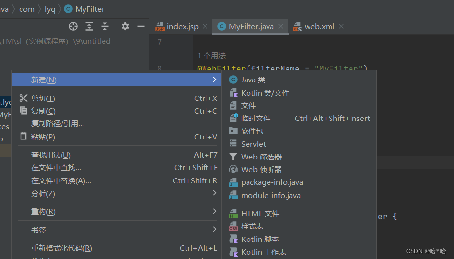 java 过滤器解决乱码 java过滤器不生效_java_03