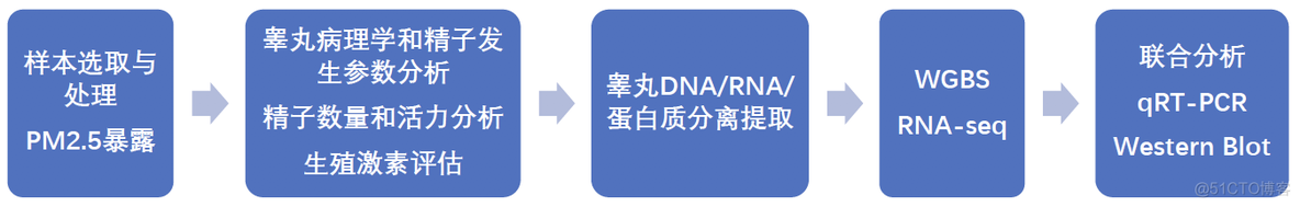 javascript 南方医院赵亮 南方医院赵亮团队_ci_03