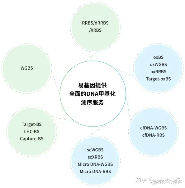 javascript 南方医院赵亮 南方医院赵亮团队_ide_11