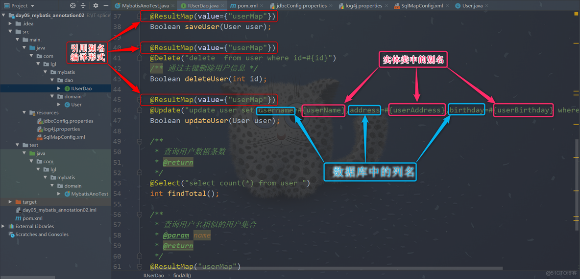 java中mybatis忽略表名大小写配置 mybatis框架忽略大小写_配置文件_50