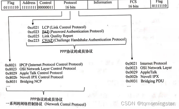 系统架构 多点接入 多点接入网络_网络协议_02