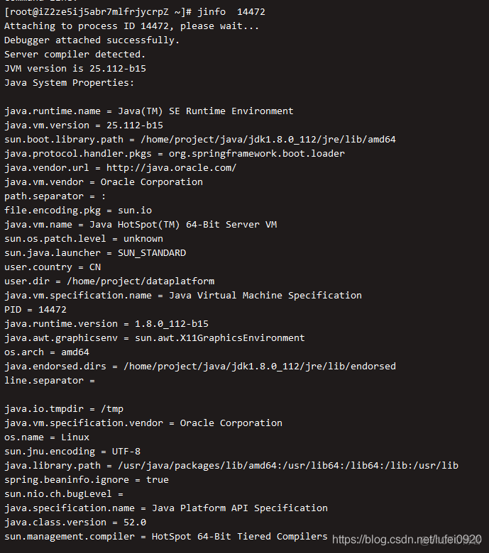 JAVA监控某对象内存 java 监控进程_老年代_13