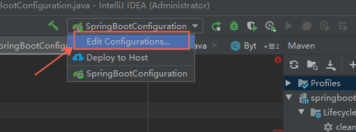 idea java 环境bianshez idea环境变量设置_intellij-idea