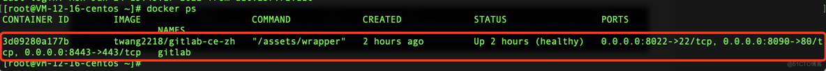docker gitlab 忘记root密码 docker部署gitlab_Docker_02