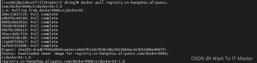 docker lrzsz怎么上传 docker上传镜像步骤_容器_11