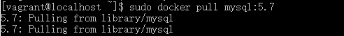 docker 容器内安装软件 怎么在docker容器里装软件_docker_08