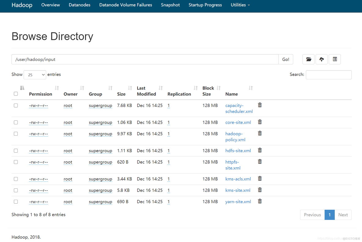 hadoop伪分布式 网络 hadoop伪分布式部署_hadoop_04