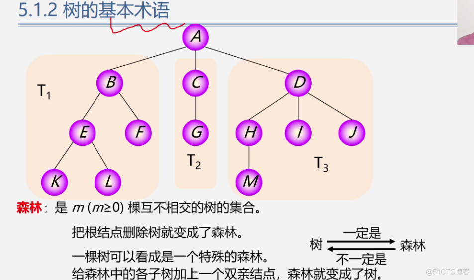 office数据结构与算法 数据结构与算法课件ppt_外链_218