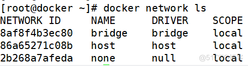 docker使用物理机网络 docker直通物理网卡_centos