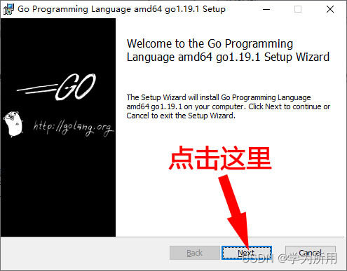 go语言 idea 开发 go语言开发工具包_windows_03