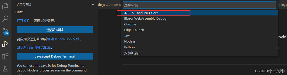 code运行python visio code运行网页_.net_08