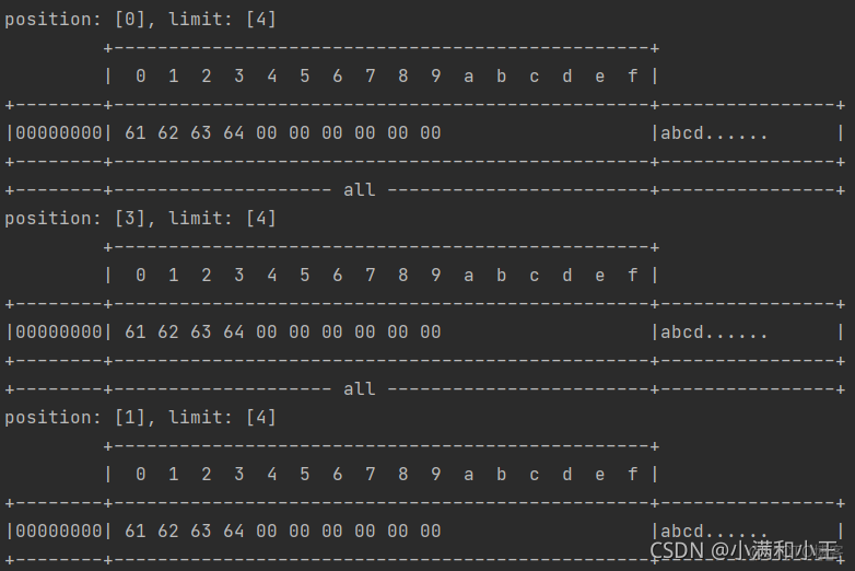 ByteBuffer用法 java bytebuffer.get_ci_07