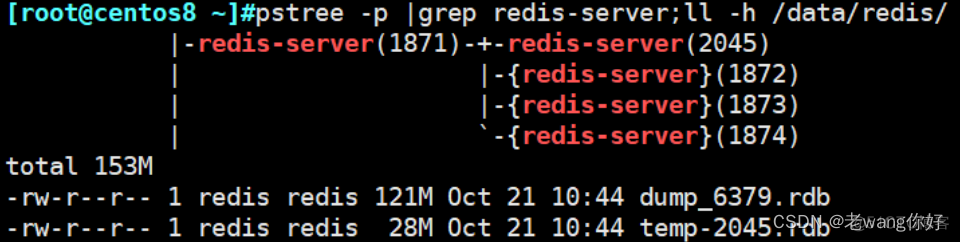 redis1g内存能放多少key redis内存一般设置多大_Redis_12