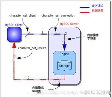 sql server 查询数据编号 如何查看sql数据库编码_sql server 查询数据编号_03