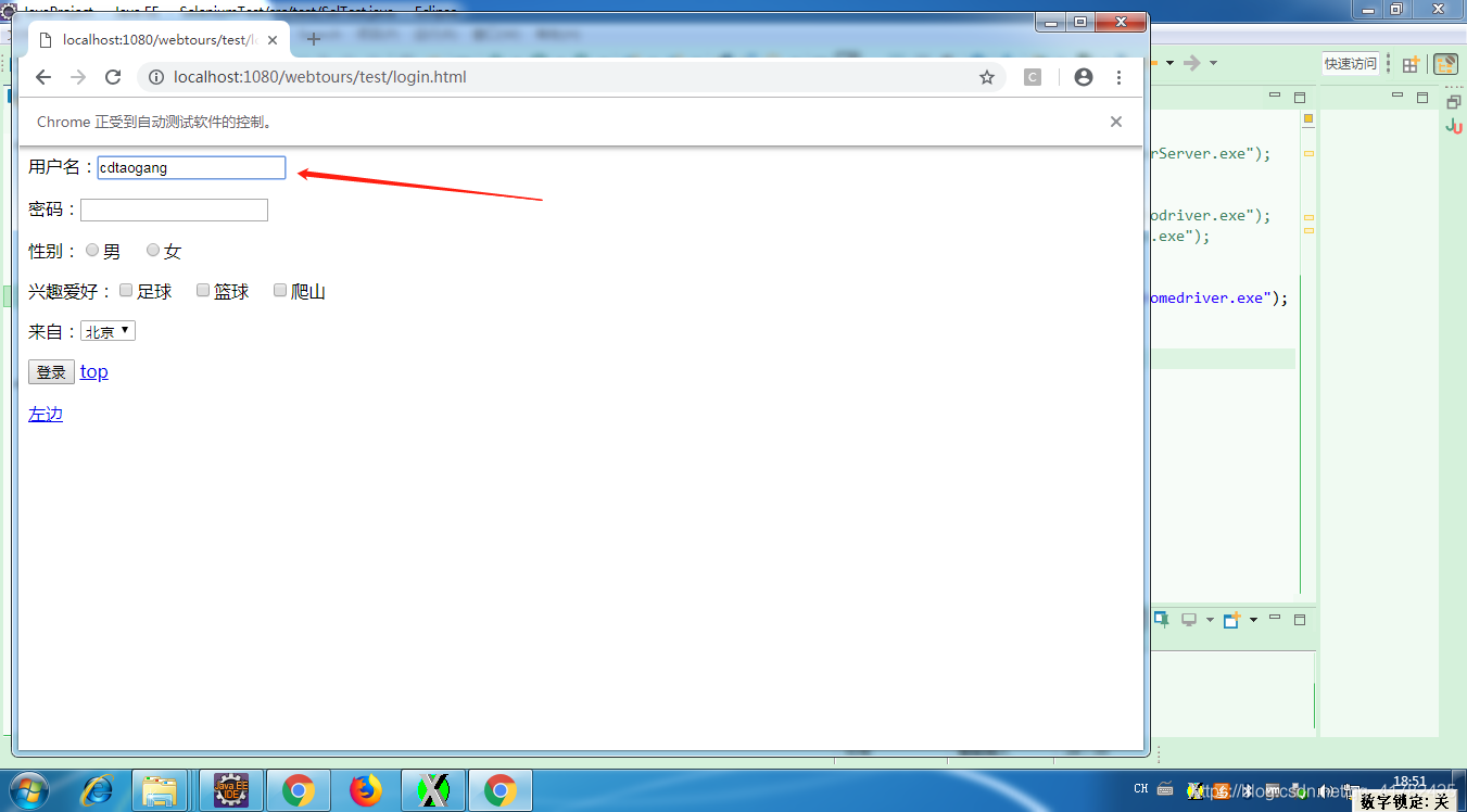 Java GUI自动化 java实现自动化测试_Java+Selenium_19