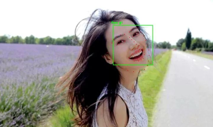 人脸识别python源码 人脸检测python_特征点_03